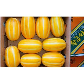 <p>Korean yellow melon</p>