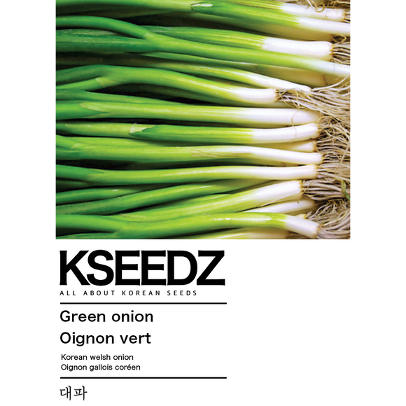 Large Green Onion Seeds