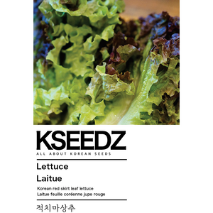 Red Skirt Lettuce Seeds