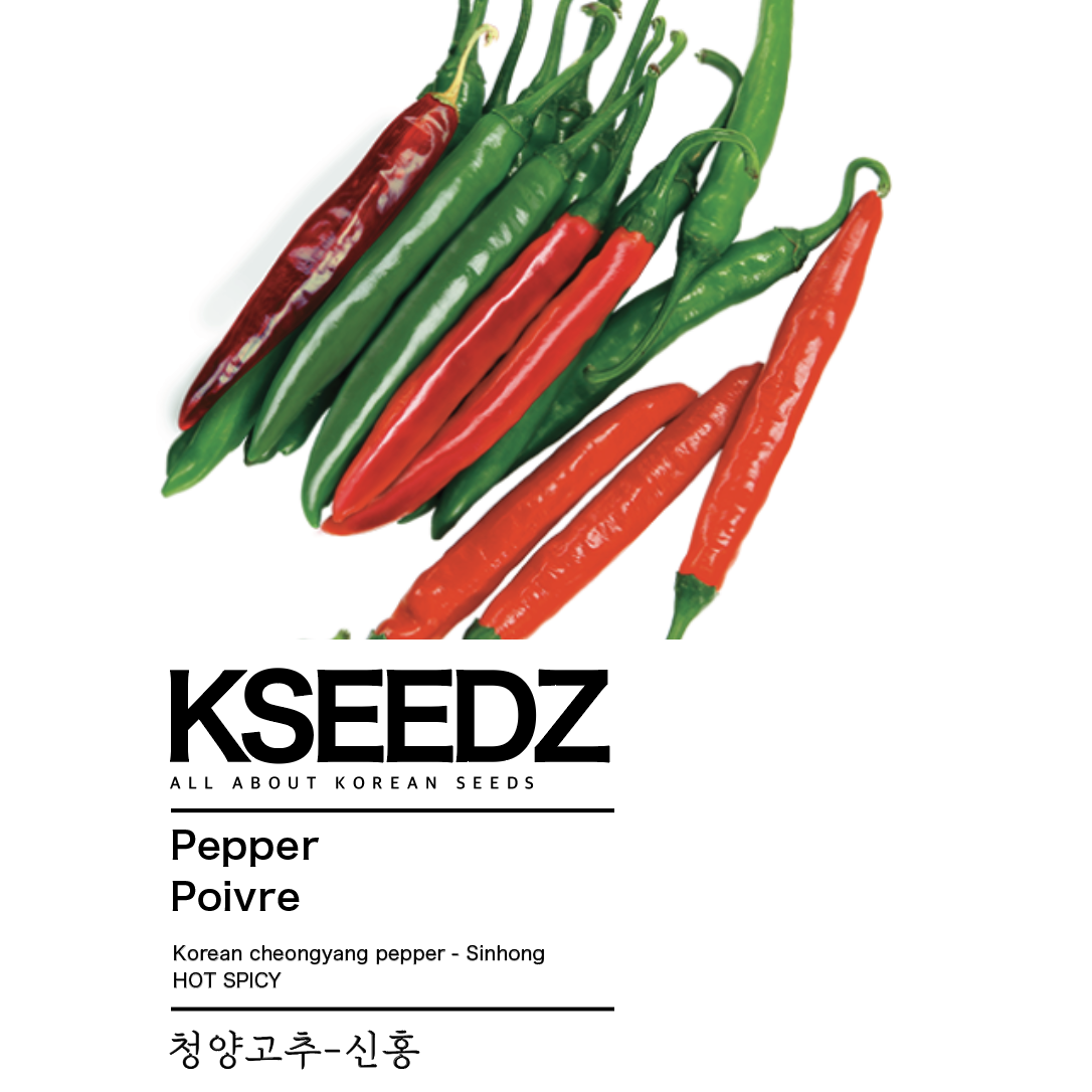 Hot Pepper Seeds – Ok Mart