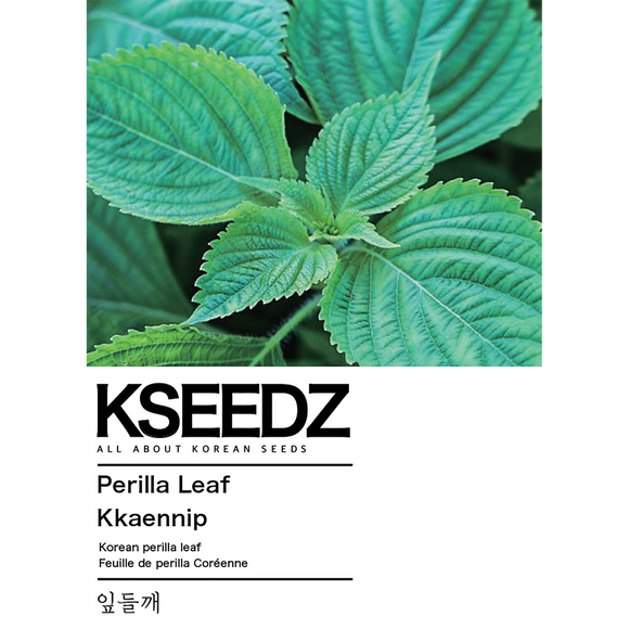 Green Perilla Seeds