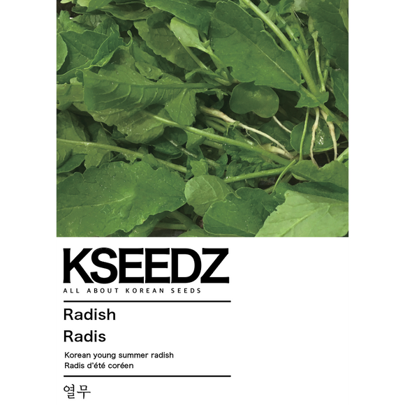 Young Radish Seeds